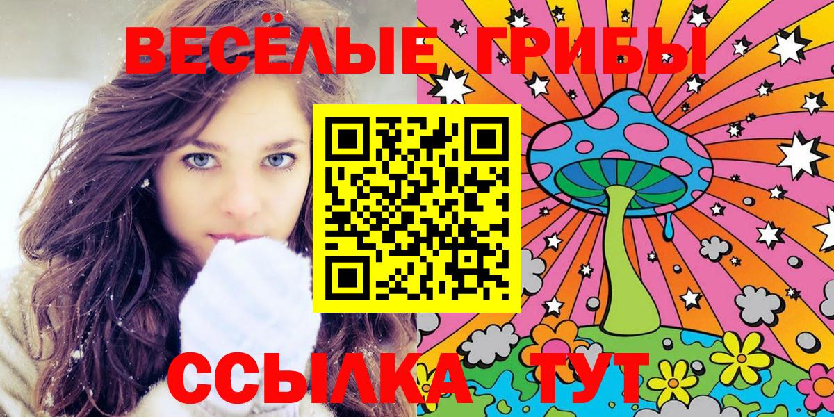 Благодарный  Псилоцибиновые грибы MAGIC MUSHROOMS  Вход с VPN 